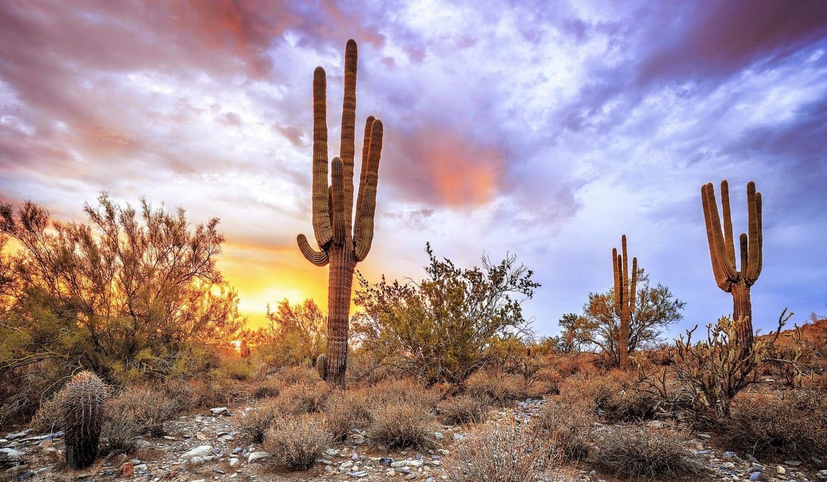 Phoenix Arizona skyline at sunset